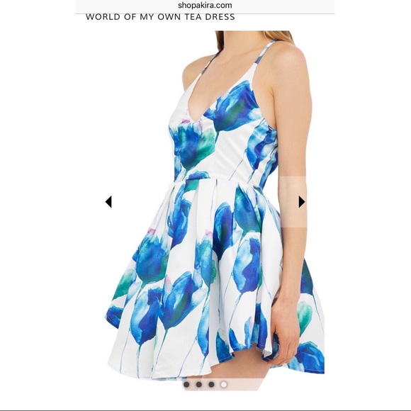 Dresses & Skirts - AKIRA blue tulip print cupcake dress!